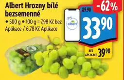 Albert Albert Hrozny bílé bezsemenné nabídka
