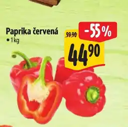 Albert Paprika červená nabídka