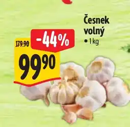 Albert Česnek volný nabídka