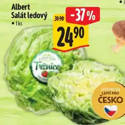 Albert Albert Salát ledový nabídka