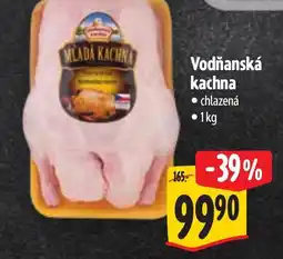 Albert Vodňanská kachna nabídka