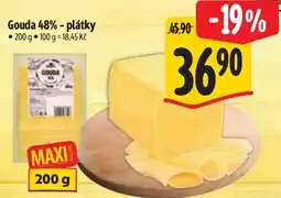 Albert Gouda 48% - plátky nabídka