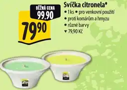 Albert Svíčka citronela nabídka