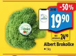 Albert Brokolice nabídka