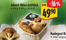 Albert Hlíva ústřičná nabídka