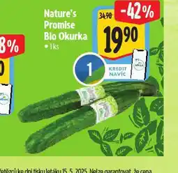 Albert Bio okurka nabídka