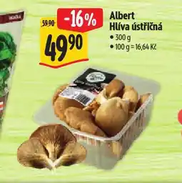 Albert Hlíva ústřičná nabídka