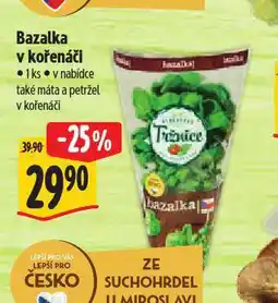Albert Bazalka v kořenáči nabídka