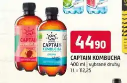Terno Captain kombucha 400 ml vybrané druhy nabídka