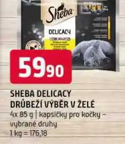 Terno Sheba delicacy drůbeží výběr v želě 4x 85 g kapsičky pro kočky vybrané druhy nabídka
