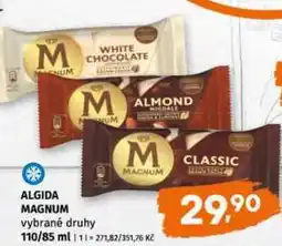 Terno Algida magnum vybrané druhy 110/85g vybrané druhy nabídka