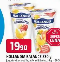Trefa HOLLANDIA BALANCE 230 g nabídka
