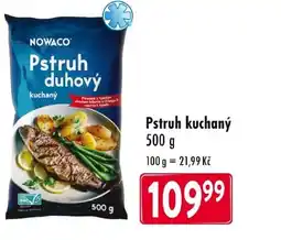 Qanto NOWACO Pstruh duhový nabídka