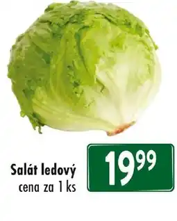 Qanto Salát ledový nabídka