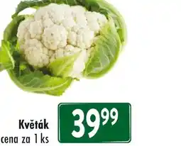 Qanto Květák nabídka