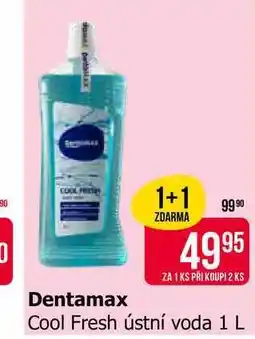 Teta Dentamax Cool Fresh ústní voda 1 L nabídka