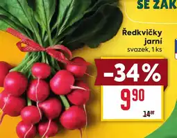 Billa Ředkvičky jarni nabídka