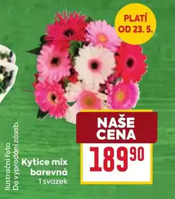 Billa Kytice mix barevná nabídka