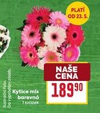 Billa Kytice mix barevná nabídka