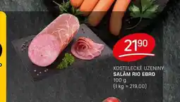 Flop SALÁM RIO EBRO 100g nabídka