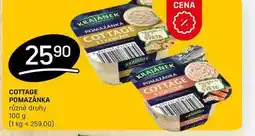 Flop COTTAGE POMAZÁNKA různé druhy 100g nabídka