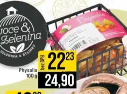 Jip Physalis nabídka