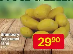 Hruška Brambory konzumní rané nabídka