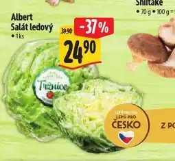 Albert Salát ledový nabídka