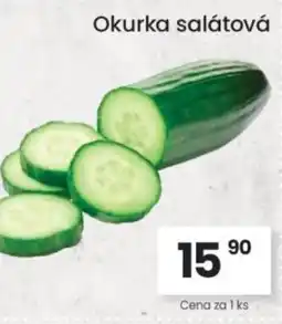 Kubík potraviny Okurka salátová nabídka