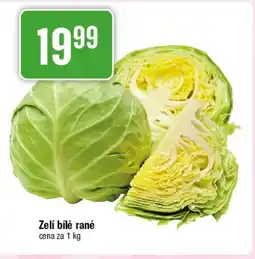 TEMPO Zelí bílé rané nabídka