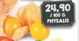 Jip Physalis nabídka