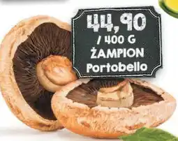 Jip Žampion Portobello nabídka
