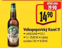 Albert Velkopopovický Kozel 11 nabídka