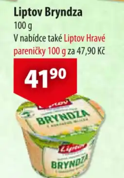 Liptov Bryndza