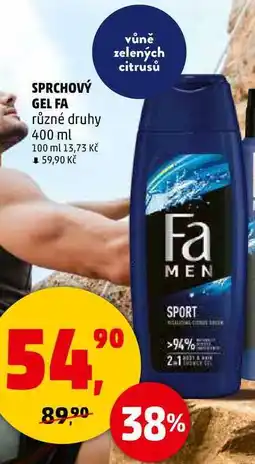 Penny Market SPRCHOVÝ GEL FA různé druhy, 400 ml nabídka