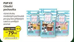 Super Zoo PUP ICE Chladící pochoutka nabídka