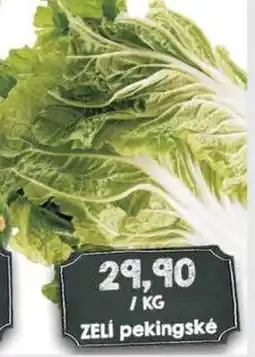 Jip Zelí pekingské nabídka