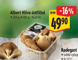 Albert Albert Hlíva ústřičná nabídka