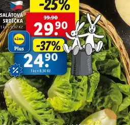 Lidl Salát srdíčka nabídka
