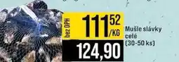 Jip Mušle slávky celé (30-50 ks) nabídka