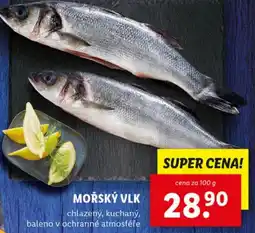 Lidl Mořský vlk nabídka