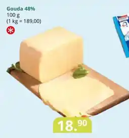 Potraviny CZ Gouda 48% nabídka