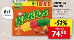 Lidl Zmrzlina kaktus nabídka