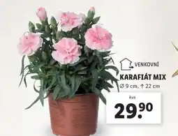 Lidl Karafiát mix nabídka