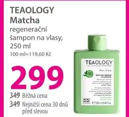 Hebe TEAOLOGY Matcha regenerační šampon na vlasy nabídka