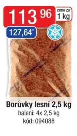 Qanto Borůvky lesní nabídka