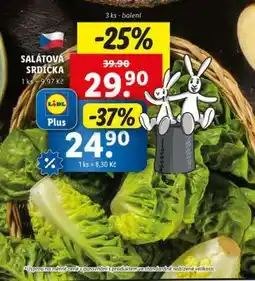 Lidl SALÁTOVÁ SRDÍČKA nabídka