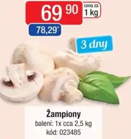 Qanto Žampiony nabídka