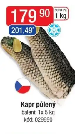 Qanto Kapr půlený nabídka