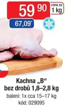 Qanto Kachna,,B" bez drobů nabídka